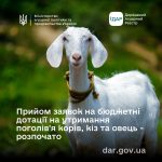 До уваги аграріїв! Оголошується прийом заявок на спеціальні бюджетні дотації