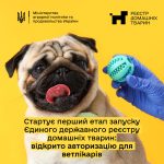 Стартує перший етап запуску Єдиного державного реє...