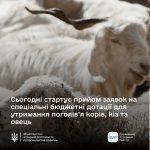 Увага! Стартує прийом заявок на спеціальні бюджетн...