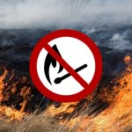 Не паліть суху траву – збережіть природу і життя!