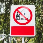 Весняний нерест 2025 на Львівщині: стартували обме...