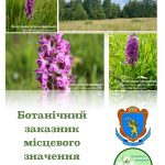 В Зимній Воді виявлено цінну територію з орхідеями
