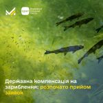 Державна компенсація на зариблення: розпочато прийом заявок