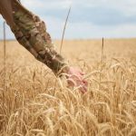 1 грудня завершується прийом заявок на компенсацію вартості агротехніки для ветеранів та їхніх родин