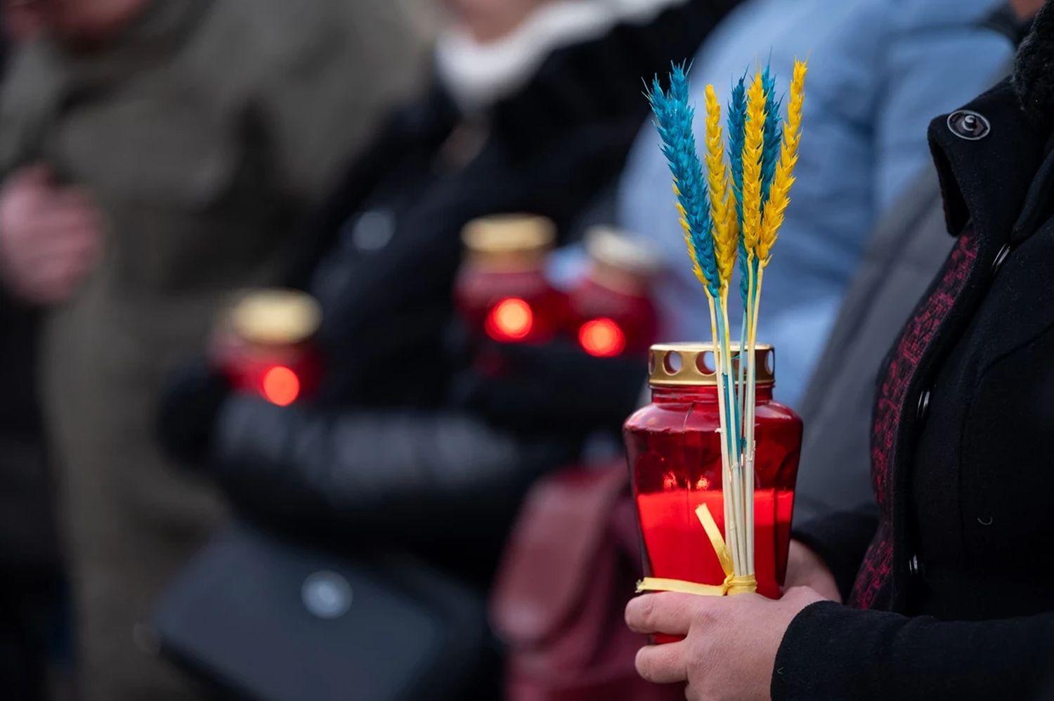 руки людей тримають лампадки та синьо-жовті колоски