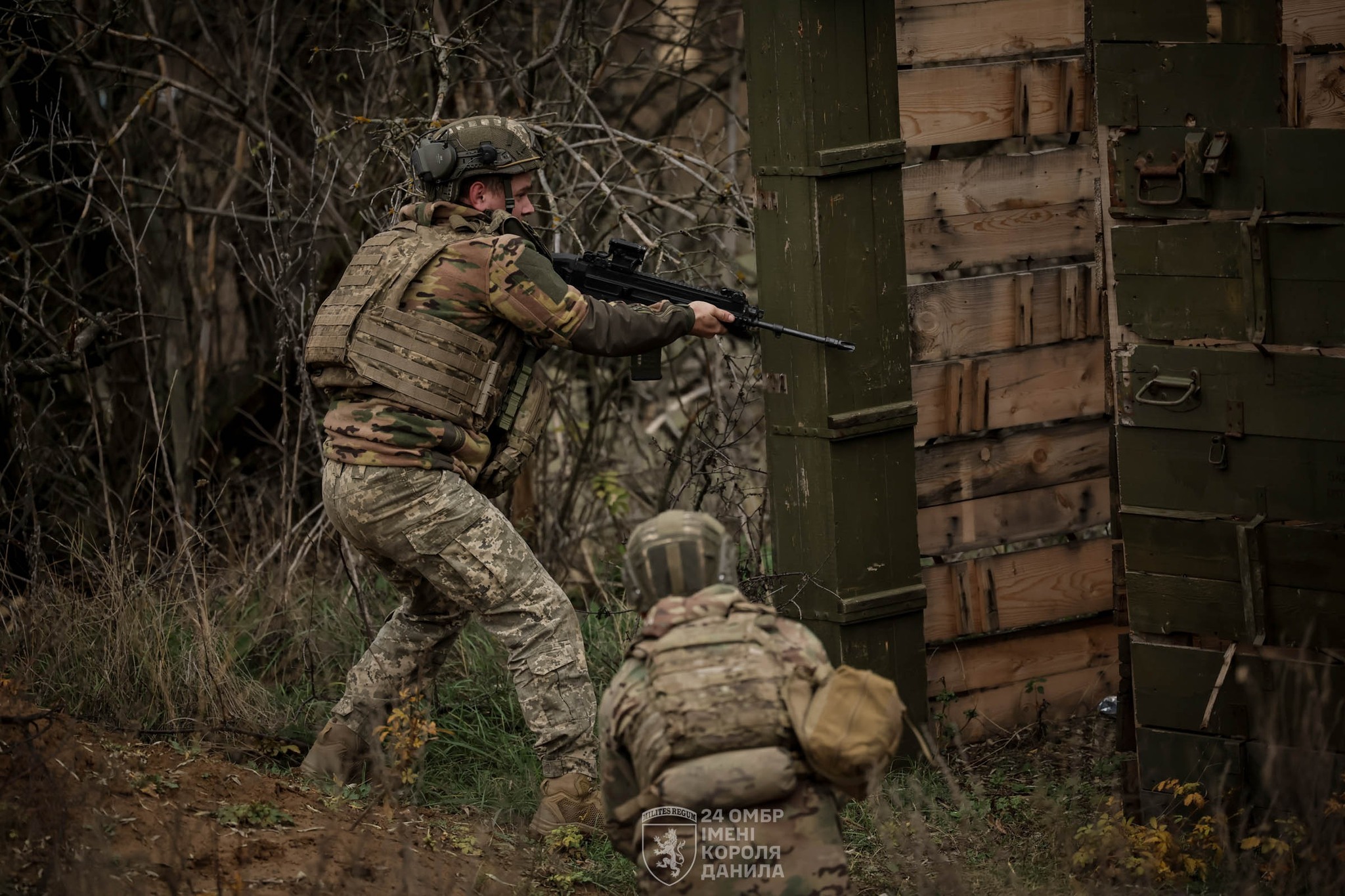 24 ОМБр імені короля Данила