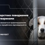 Жорстоке поводження з тваринами: закон, відповідальність та алгоритм дій