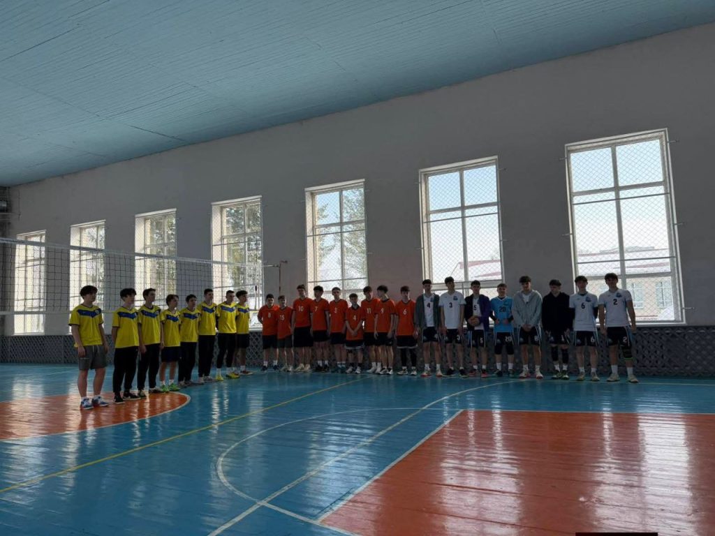 змагання з волейболу, фотозвіт