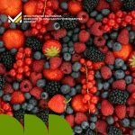 У ДАР стартувала грантова програма для розвитку агрегаційних моделей у ягідництві та овочівництві