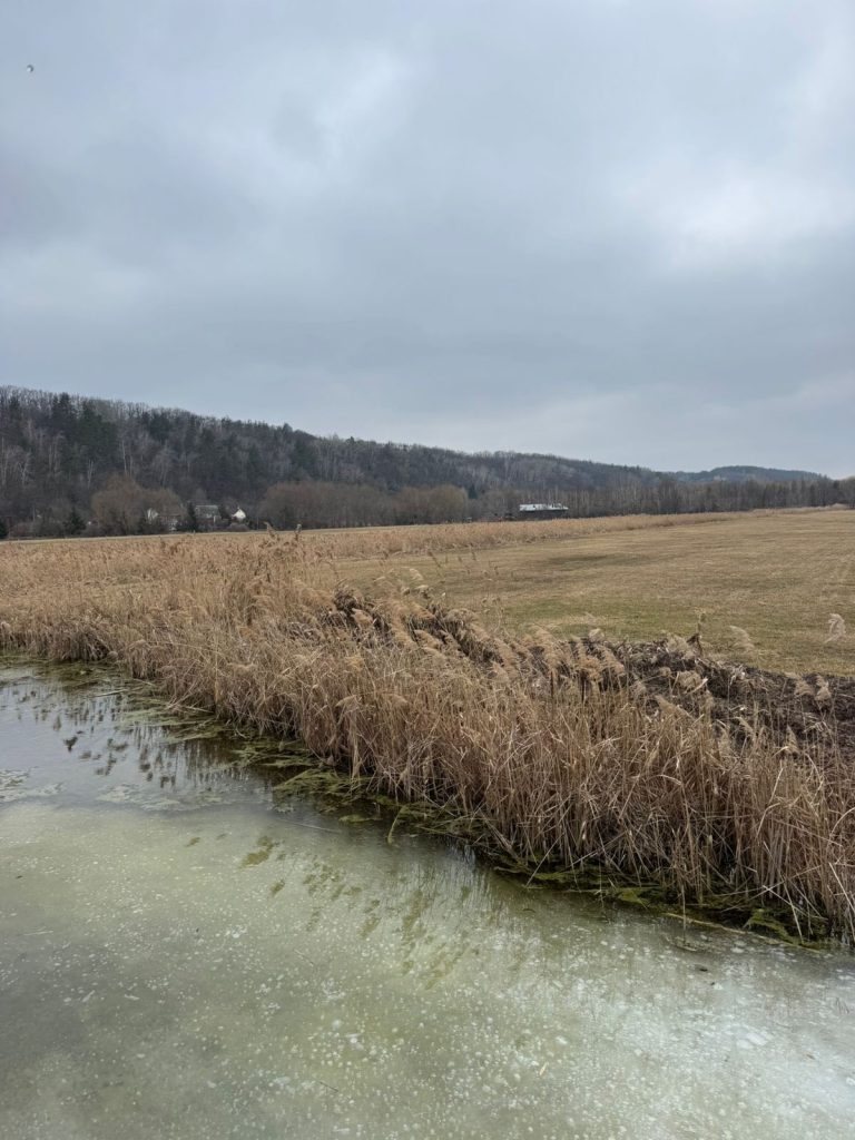 зустріч з віктором ющенком, фотозвіт