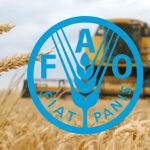 Продовольча та сільсподарська організація ООН (ФАО) розпочала приймання заявок на отримання грантів