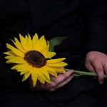Запрошуємо мешканців та гостей Львівського району