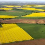 У Державному аграрному реєстрі (ДАР) відновлено прийом заявок на визначення аграрних підприємств критично важливими