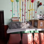 Готовність до зими: Львівська РДА в рамках постанови Кабінету Міністрів України № 1401 розпочала перевірку пунктів незламності у громадах району.
